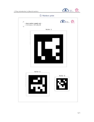 Report page with the printable Aruco marker set