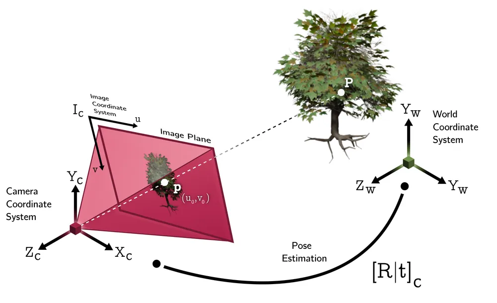 A camera and a world coordinate system side by side. A point P on a tree in the world projects through the camera's image plane to a pixel p. The transformation between the two coordinate systems is labelled R and t.